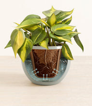 Load image into Gallery viewer, Deep Ocean stand:all