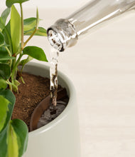 Load image into Gallery viewer, Turquoise stand:all