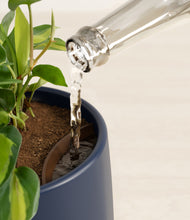 Load image into Gallery viewer, Deep Navy stand:all