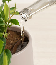 Load image into Gallery viewer, Eternal Gray stand:all