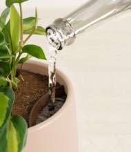 Load image into Gallery viewer, Gentle Pink stand:all