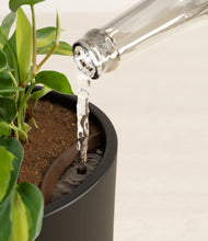 Load image into Gallery viewer, Black stand:all