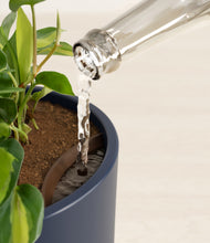 Load image into Gallery viewer, Deep Navy stand:all