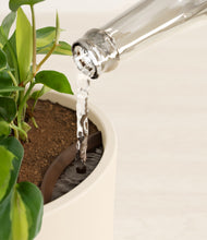 Load image into Gallery viewer, Cream stand:all