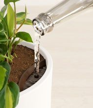 Load image into Gallery viewer, White stand:all