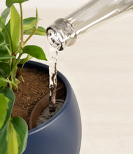 Load image into Gallery viewer, Deep Navy stand:all