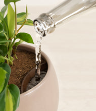 Load image into Gallery viewer, Desert Brown stand:all