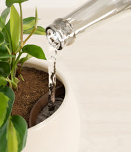 Load image into Gallery viewer, Shiny EggWhite stand:all