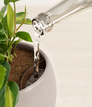 Load image into Gallery viewer, Eternal Gray stand:all