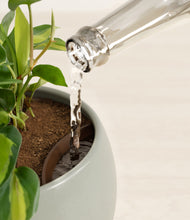 Load image into Gallery viewer, Deep Ocean stand:all