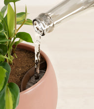 Load image into Gallery viewer, Calm Rose stand:all