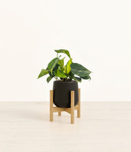Load image into Gallery viewer, Black stand:bamboo