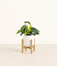 Load image into Gallery viewer, White stand:bamboo