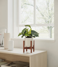 Load image into Gallery viewer, Cotton White stand:bamboo