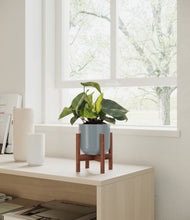 Load image into Gallery viewer, Misty Blue stand:walnut