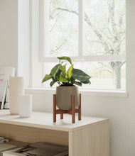 Load image into Gallery viewer, Olive stand:walnut