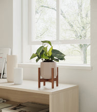 Load image into Gallery viewer, Eternal Gray stand:walnut