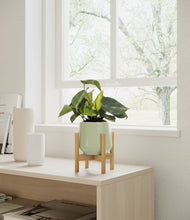 Load image into Gallery viewer, Turquoise stand:bamboo