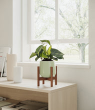 Load image into Gallery viewer, Turquoise stand:walnut