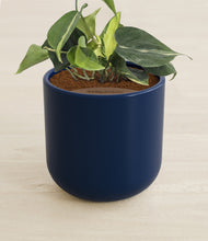 Load image into Gallery viewer, Twilight Blue stand:all