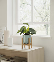Load image into Gallery viewer, Reactive Aqua stand:bamboo