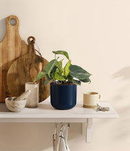Load image into Gallery viewer, Twilight Blue