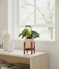 Load image into Gallery viewer, Sandy Pink stand:walnut