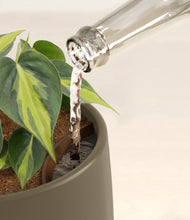 Load image into Gallery viewer, Olive stand:all