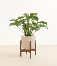 Load image into Gallery viewer, Sandy Pink stand:walnut