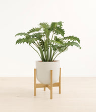 Load image into Gallery viewer, Natural Bamboo stand:bamboo