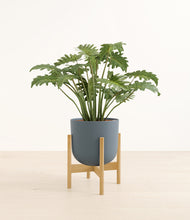 Load image into Gallery viewer, Iron Gray stand:bamboo