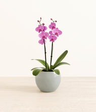 Load image into Gallery viewer, Deep Ocean*****Profile