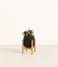 Load image into Gallery viewer, Black stand:bamboo