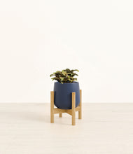 Load image into Gallery viewer, Deep Navy stand:bamboo