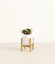 Load image into Gallery viewer, White stand:bamboo