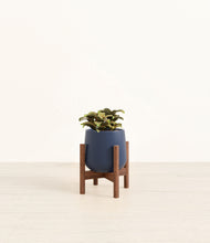 Load image into Gallery viewer, Deep Navy stand:walnut