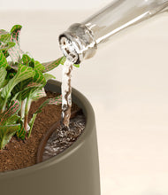 Load image into Gallery viewer, Olive stand:all