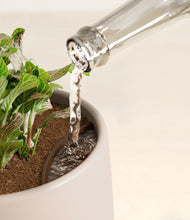 Load image into Gallery viewer, Eternal Gray stand:all