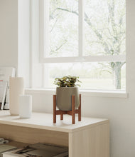 Load image into Gallery viewer, Olive stand:walnut