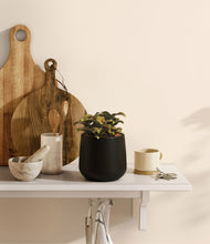 Load image into Gallery viewer, Black