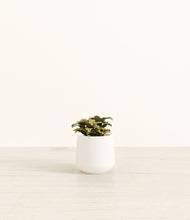 Load image into Gallery viewer, White*****Profile