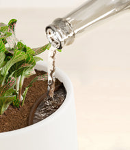 Load image into Gallery viewer, White stand:all