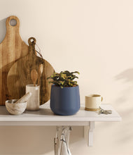 Load image into Gallery viewer, Deep Navy