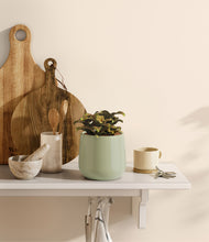 Load image into Gallery viewer, Turquoise