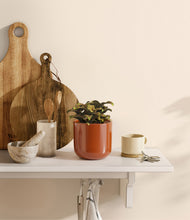 Load image into Gallery viewer, Glossy Red