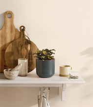 Load image into Gallery viewer, Iron Gray