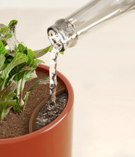 Load image into Gallery viewer, Glossy Red stand:all