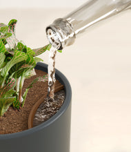 Load image into Gallery viewer, Iron Gray stand:all