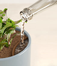 Load image into Gallery viewer, Misty Blue stand:all