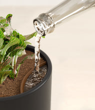 Load image into Gallery viewer, Stone Black stand:all